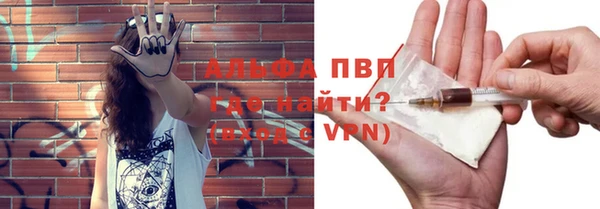 крисы Алзамай