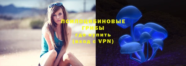 крисы Алзамай