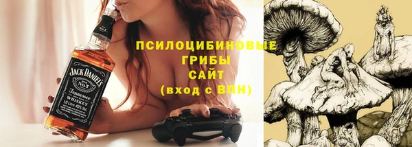 крисы Алзамай